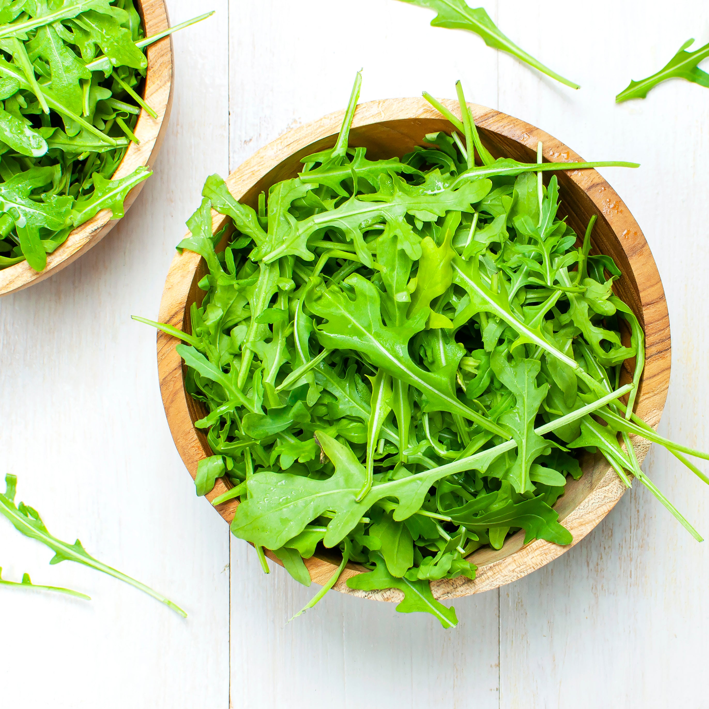 Arugula Roquette Seeds / Spicy Salad/Microgreen