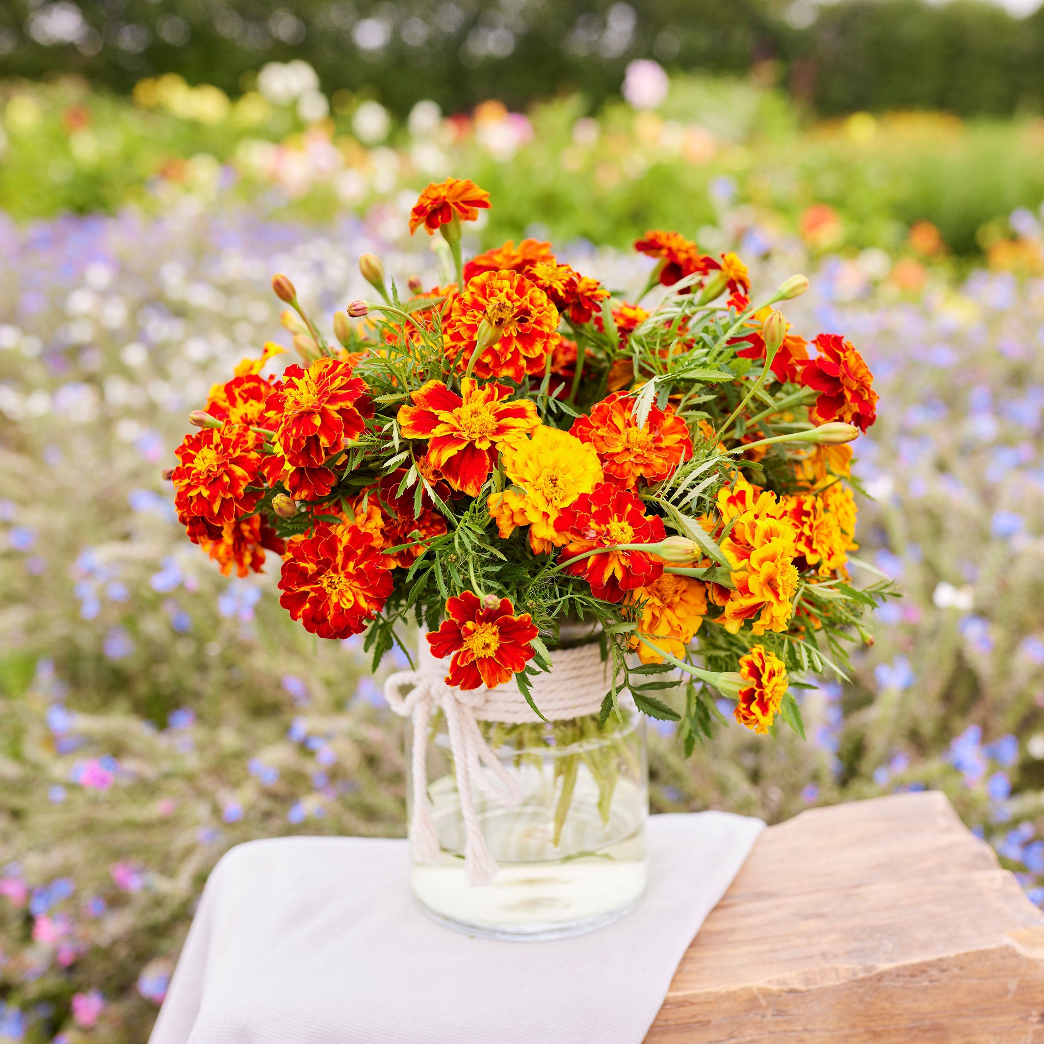 Seasonal Selection of Edible Flowers - COLLECTION ONLY - The