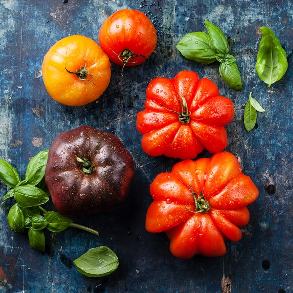 Tomato Seeds (Organic) - Beefsteak