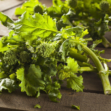 Broccoli-Raab Seeds - & Rapini | Brothers Vegetable Bulk Eden | in Packets Seeds Spring