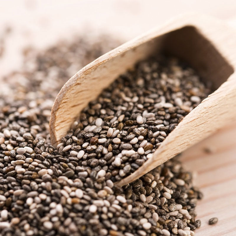 Organic Black Chia Seeds Buy in Bulk from Food to Live