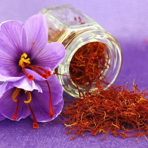 Saffron Crocus Sativus Bulbs | Buy Crocus Bulbs in Bulk at Eden 