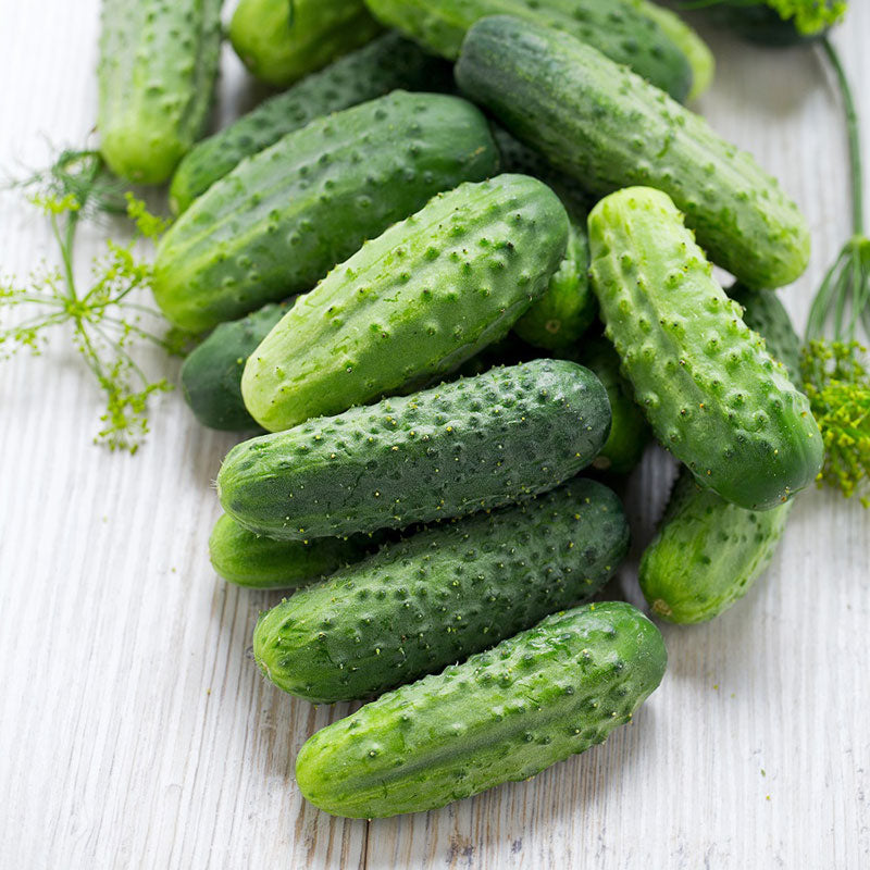 Fresh Organic Cucumbers, Mexico, 1 Count - Greenery