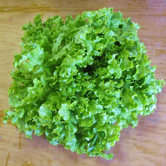 http://www.edenbrothers.com/cdn/shop/products/lettuce-salad-bowl-green-1.jpg?v=1653246086