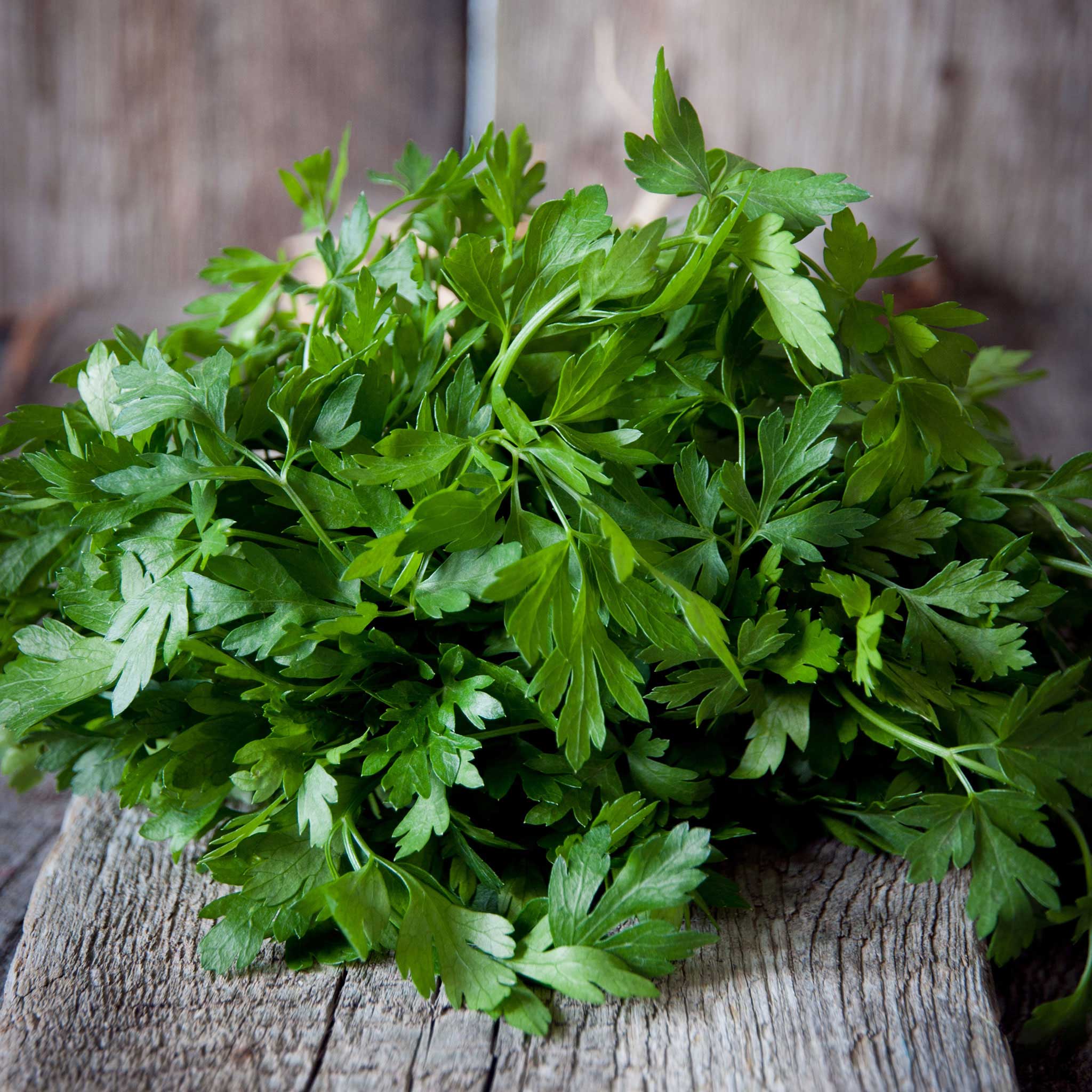 parsley seeds