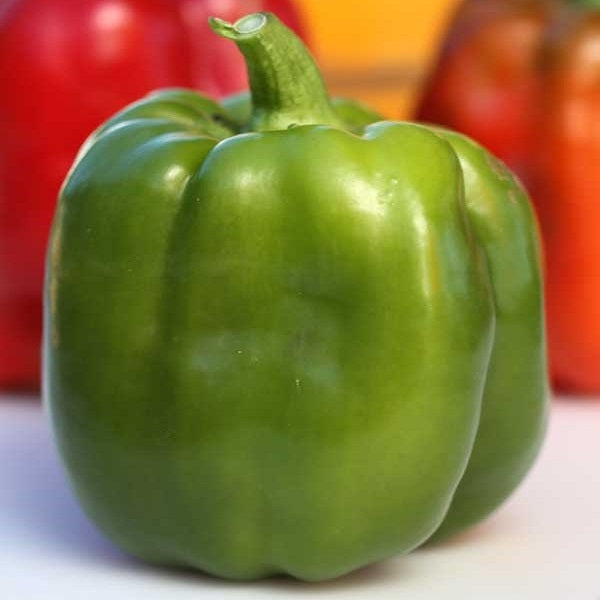 Order Organic Green Bell Pepper