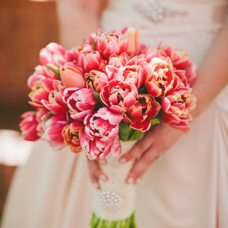 Tulipani e Rose  Bridal bouquet flowers, Wedding bouquets bride