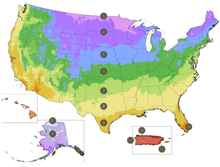 USDA Zone Map – Eden Brothers