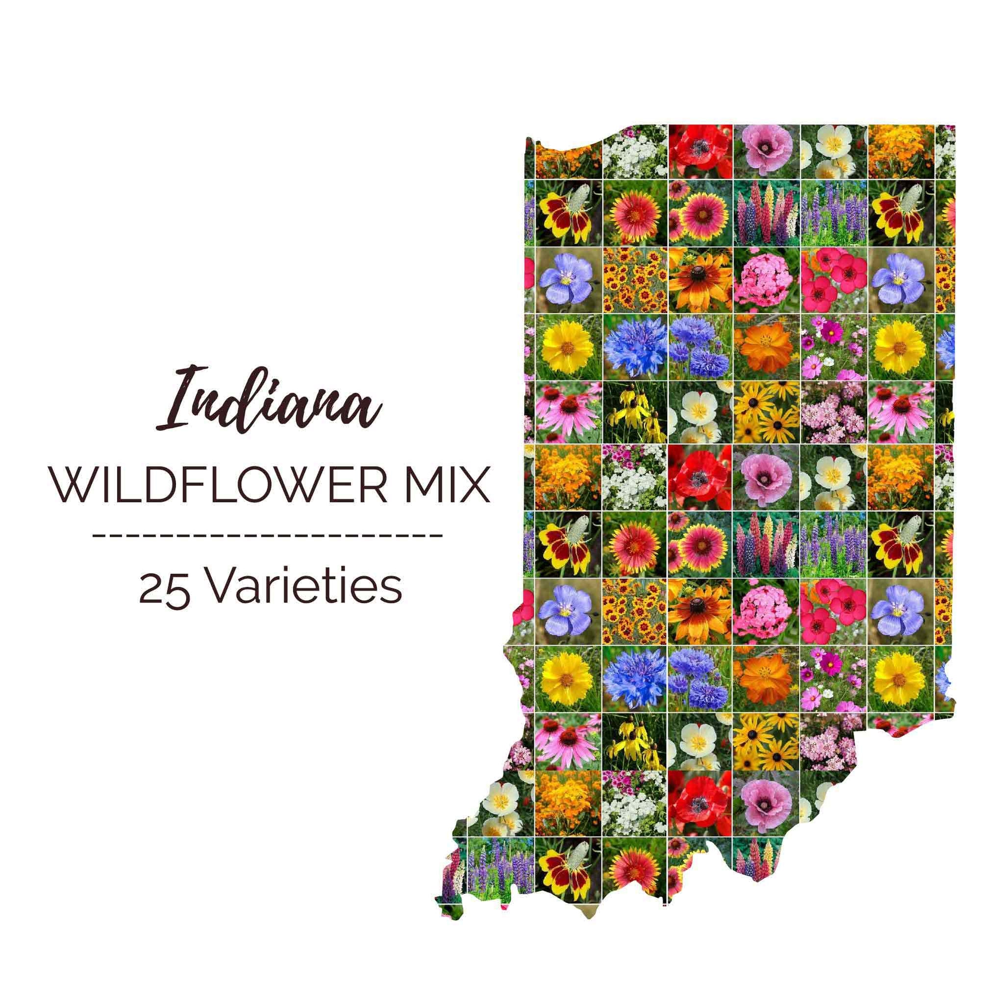 Indiana Wildflower Seed Mix Eden Brothers