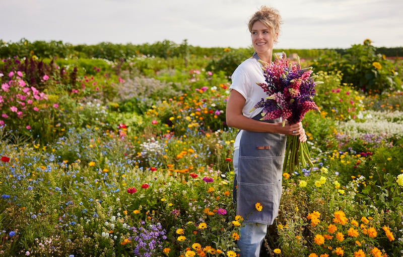 woman in wildflower field holding bouquet of Lupinus