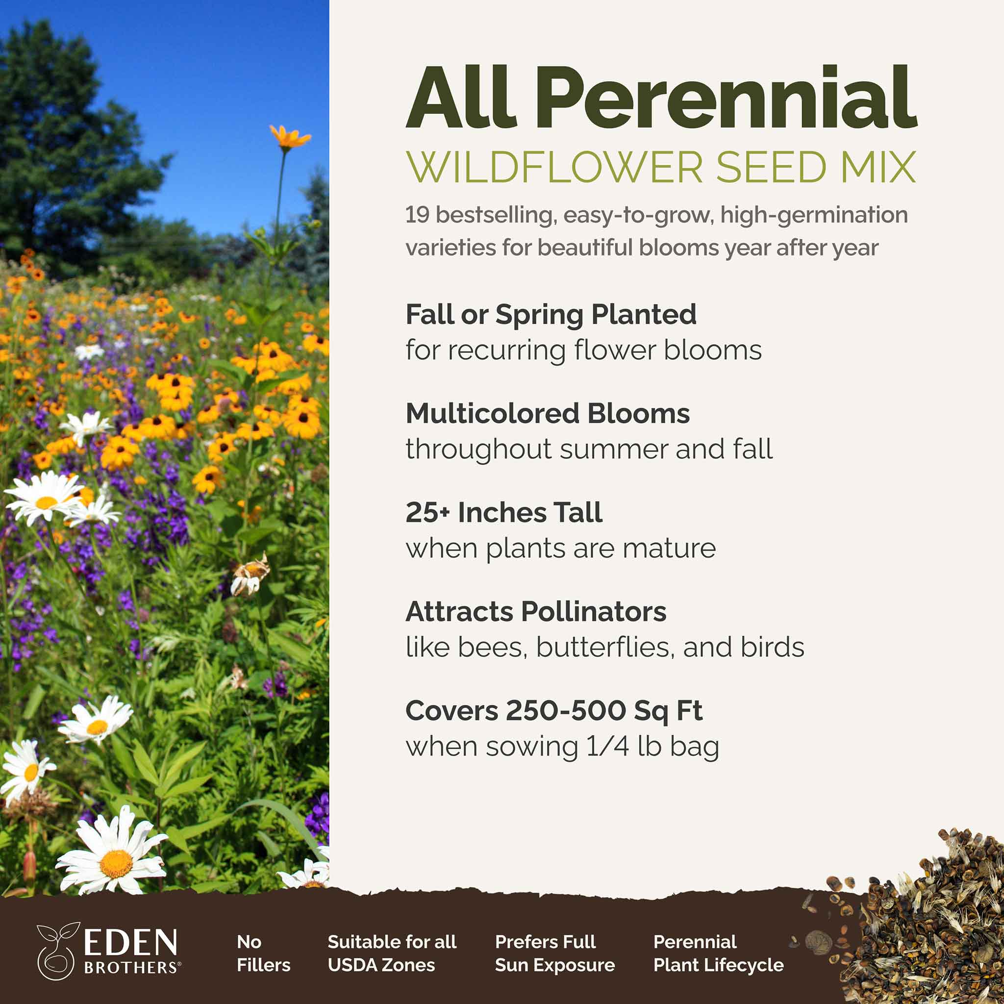 All Perennial Wildflower Seed Mix – Eden Brothers