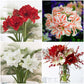 amaryllis holiday mix