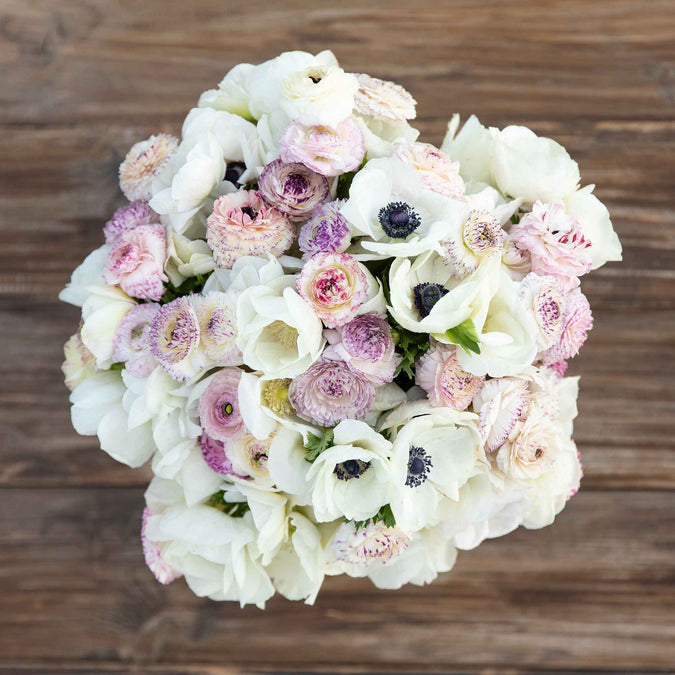 anemone and ranunculus alpine mix