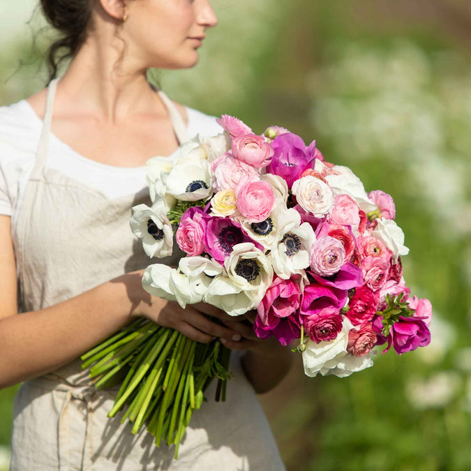 anemone and ranunculus moment in time mix