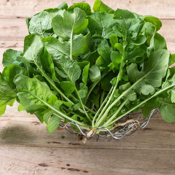 arugula rocket