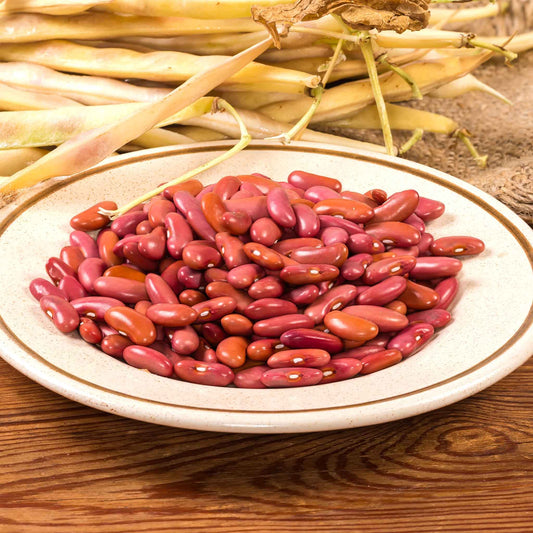 bean light red kidney