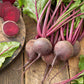 beet organic detroit dark red | copyright: Floramedia UK Ltd