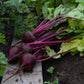 beet organic detroit dark red