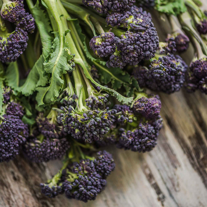 broccoli purple sprouting