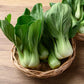 cabbage organic pak choy white stem