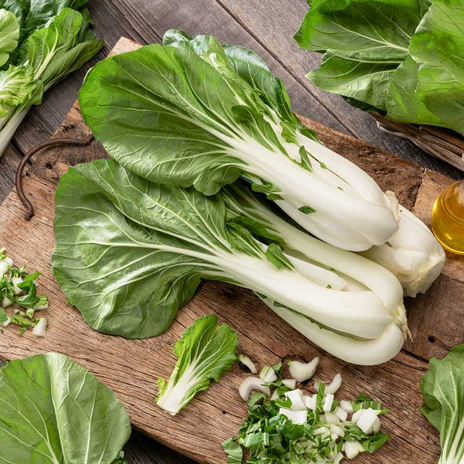 cabbage organic pak choy white stem | copyright: Floramedia UK Ltd