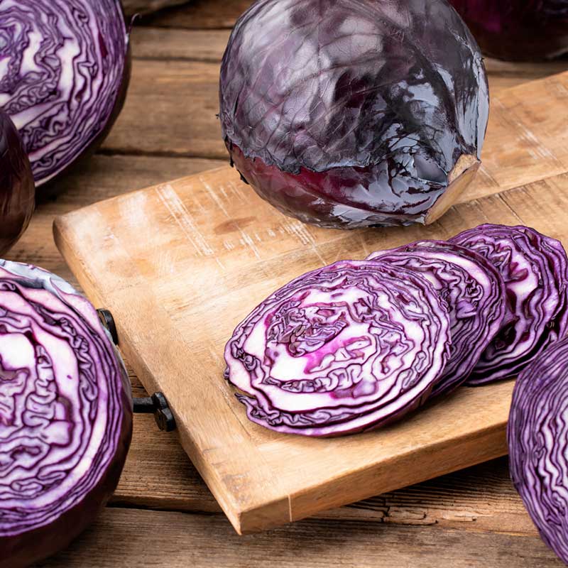 cabbage red acre | copyright: Floramedia UK Ltd