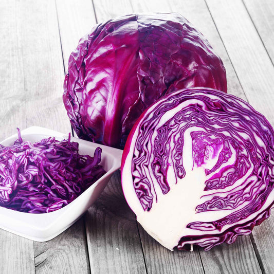 cabbage red acre