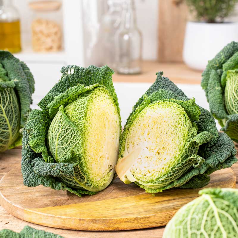 cabbage savoy | copyright: Floramedia UK Ltd