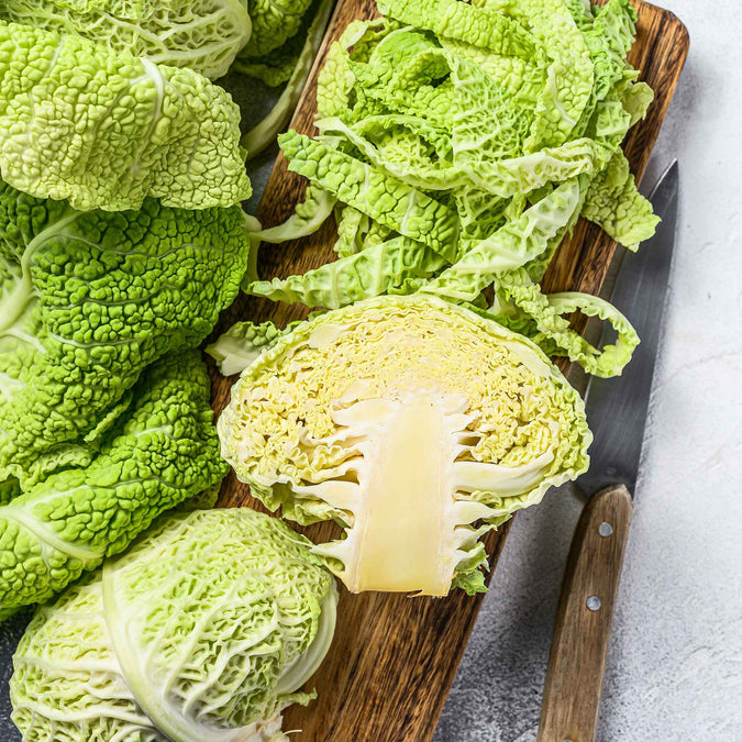 cabbage savoy