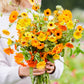 calendula kablouna mix