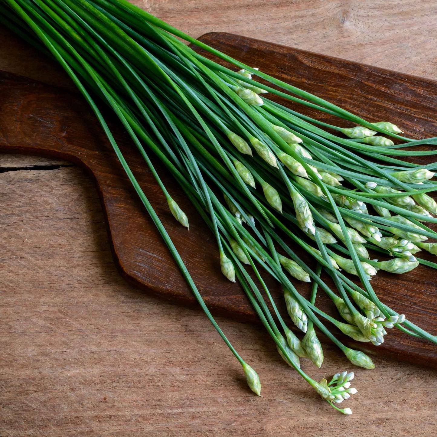 chives garlic