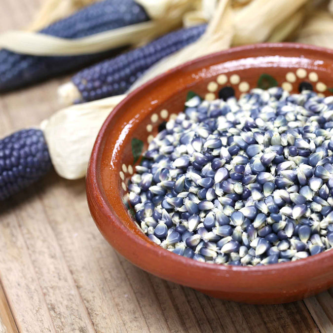 corn organic blue hopi