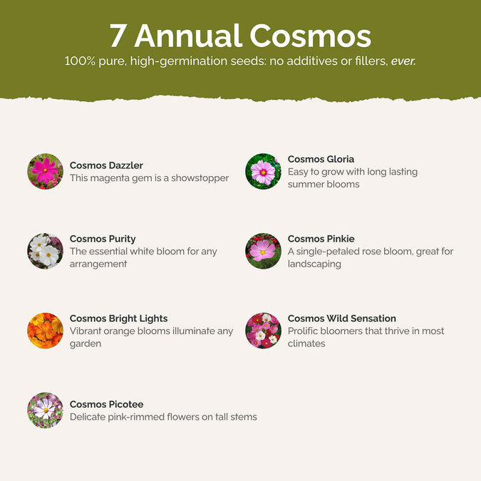 crazy for cosmos contents