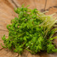 cress wrinkled crinkled