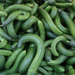 cucumber armenian dark green