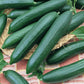 cucumber organic tendergreen burpless