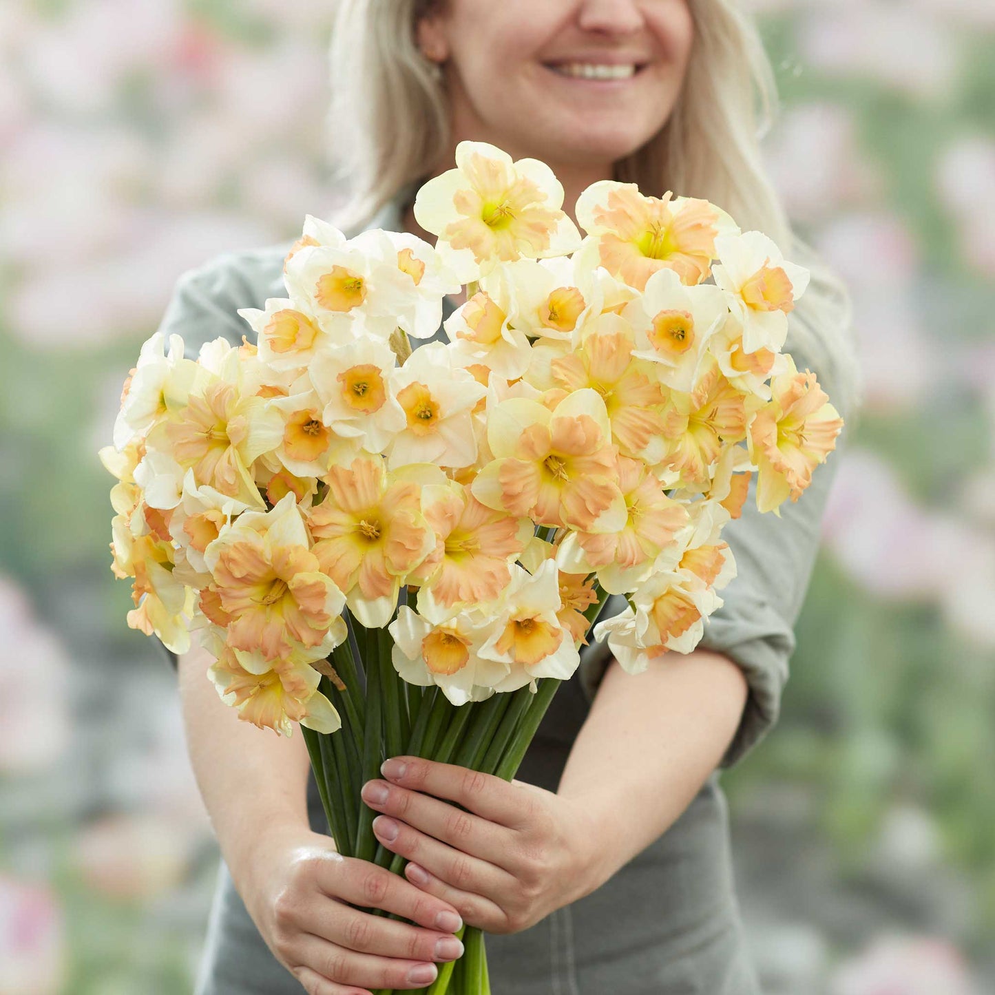 daffodil spring dreams mix