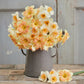 daffodil spring dreams mix