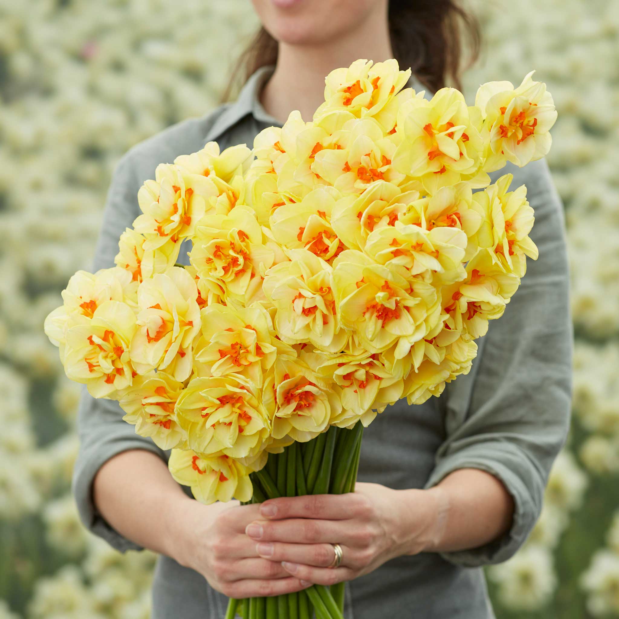 Double Daffodil Bulbs - Tahiti | Fall Flower Bulbs | Eden Brothers