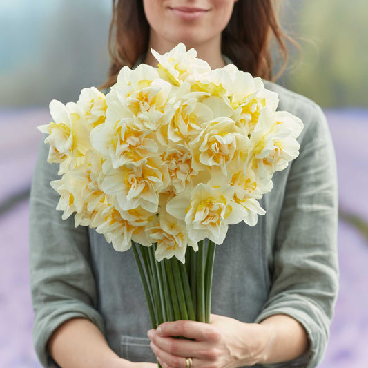 white lion daffodil