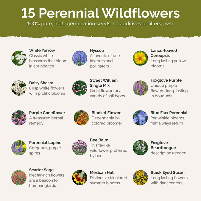 deer resistant all perennial contents