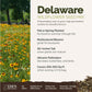 delaware overview