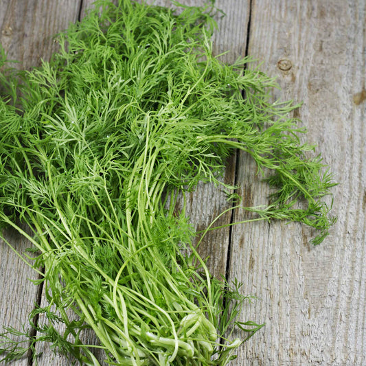 dill organic bouquet