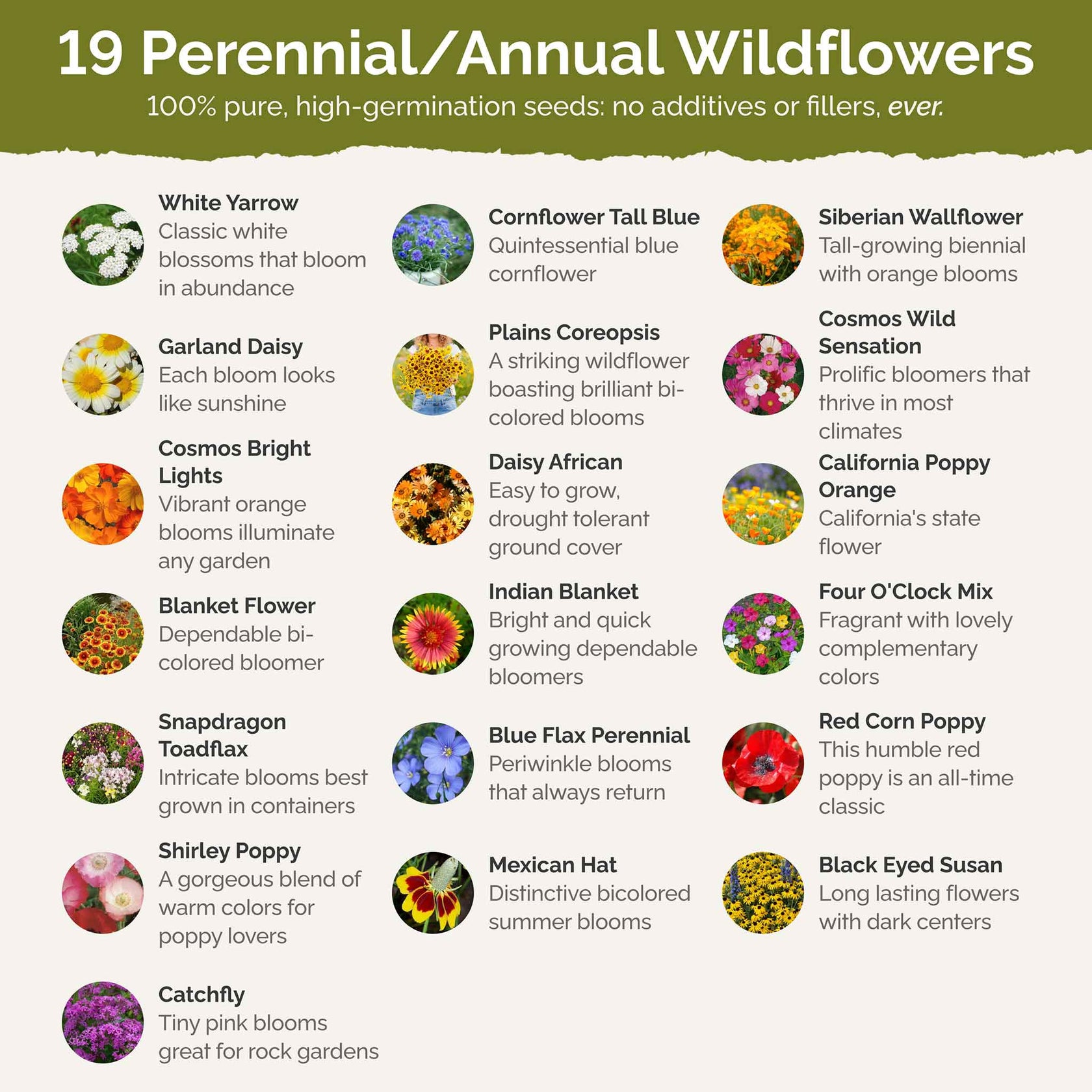 Dry Area Wildflower Seed Mix – Eden Brothers