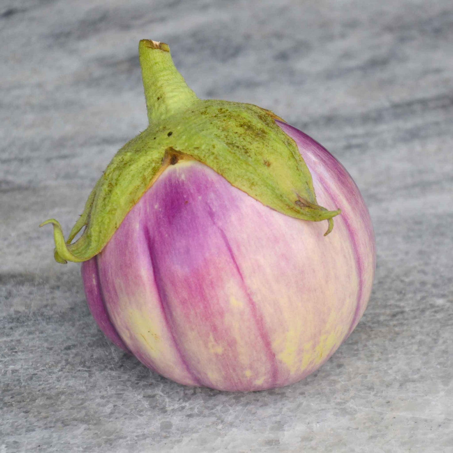 eggplant rosa bianca