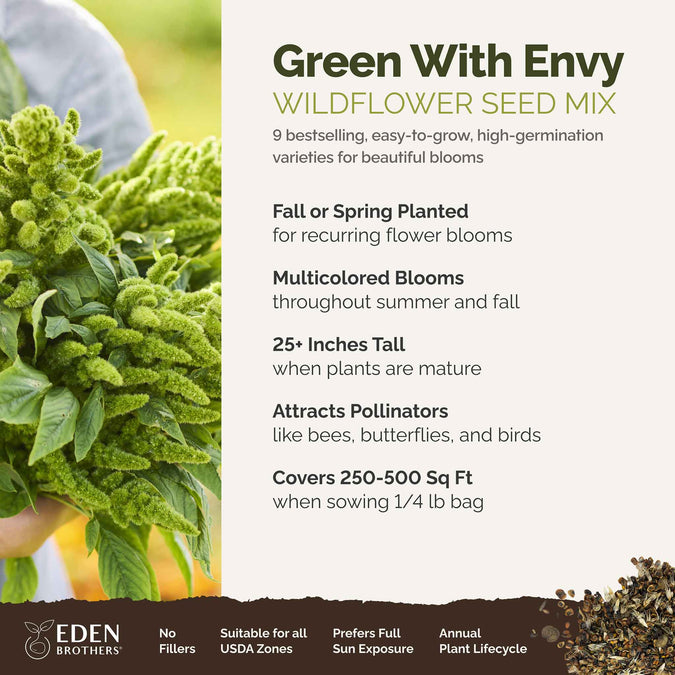 green with envy overview