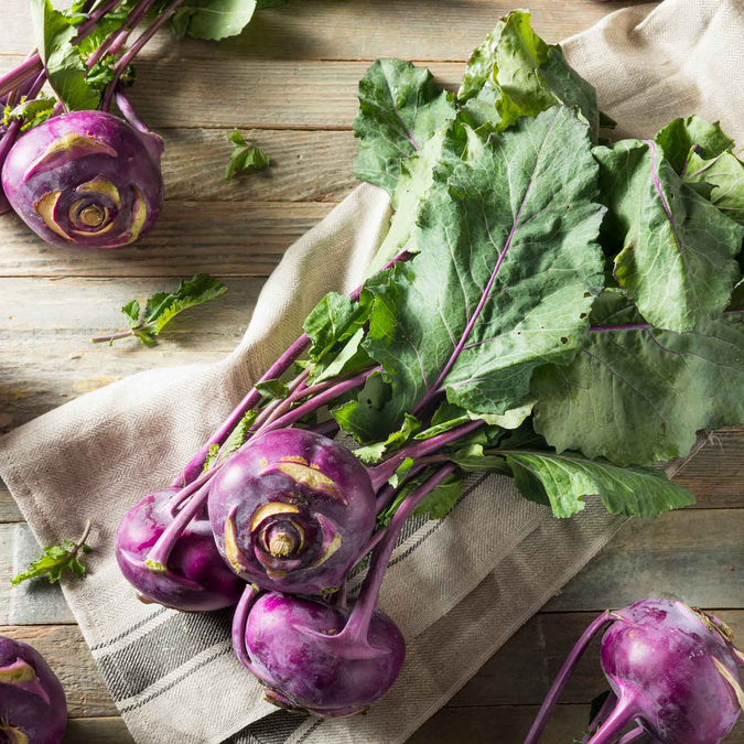 kohlrabi purple vienna