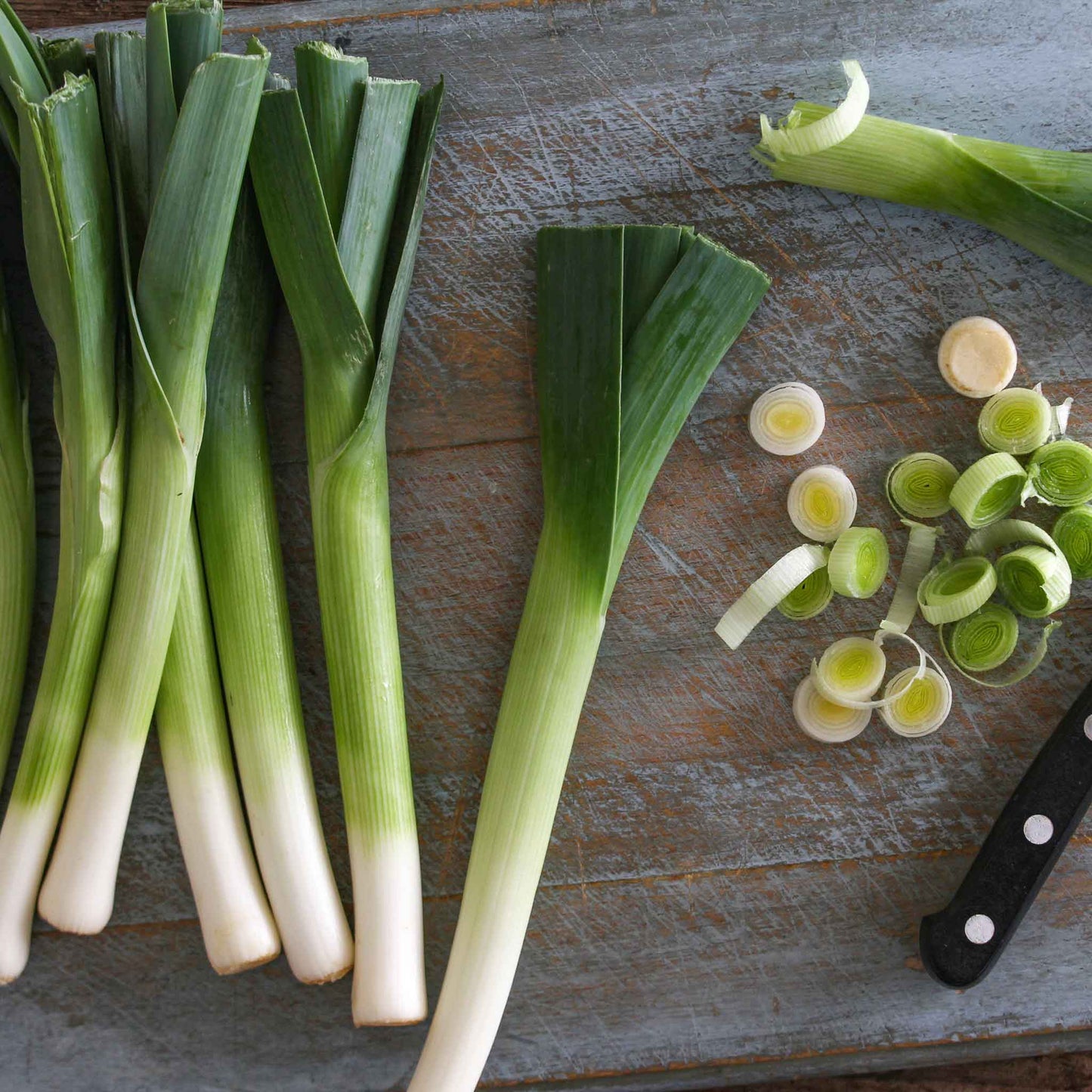 leek early giant