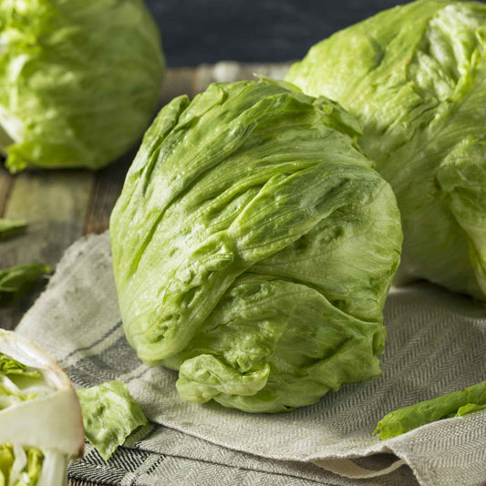 lettuce iceberg