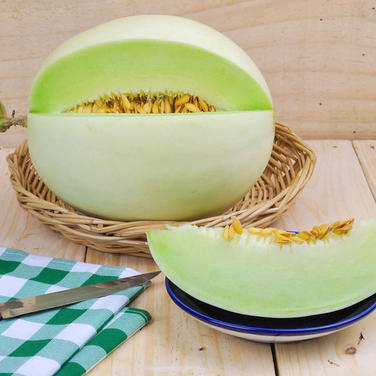 melon organic honeydew green